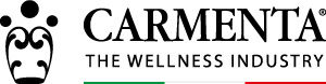Carmenta The Wellness Industry